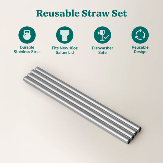 saltini-straw-set-p0 4PK_SaltiniStraws_SS-2.jpg