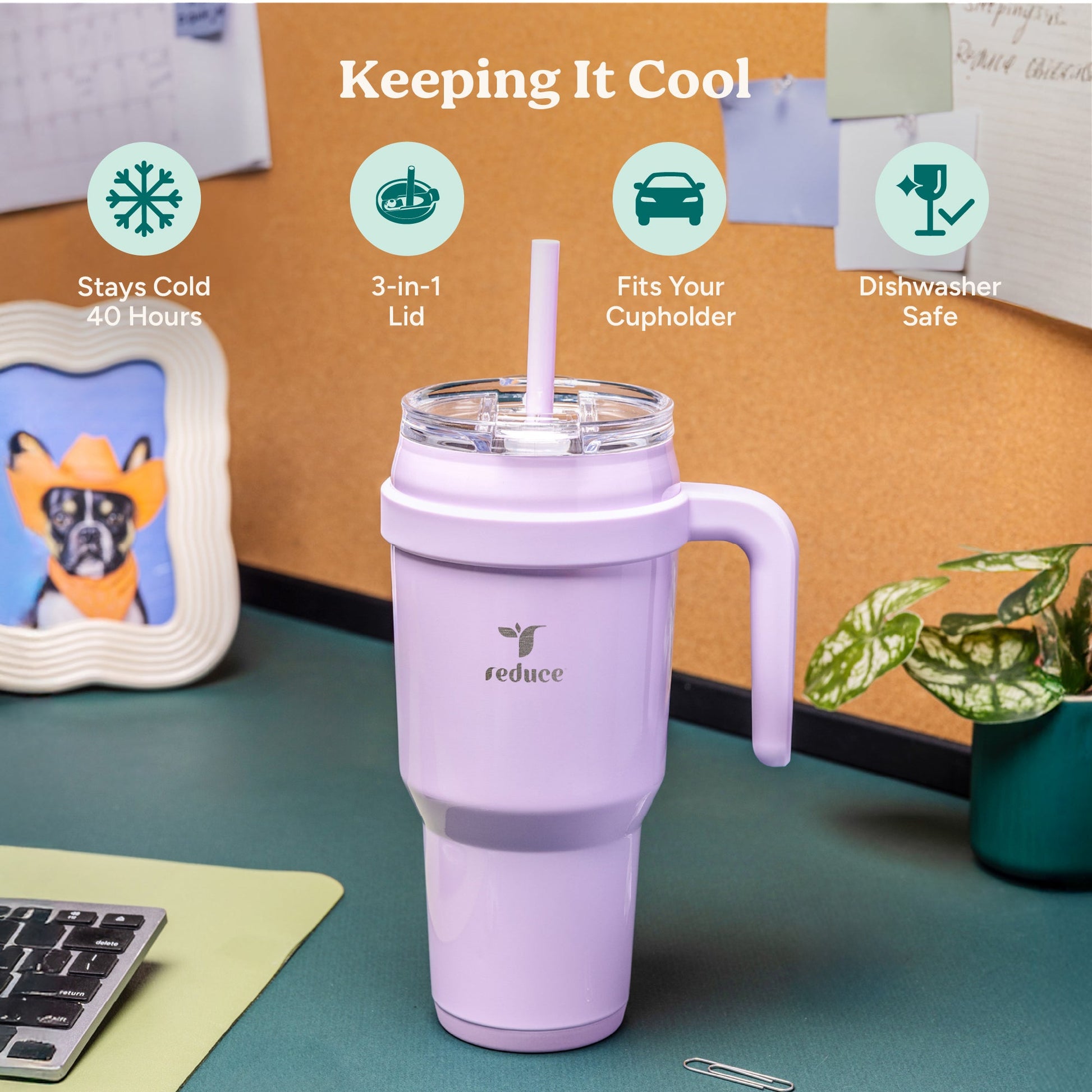 cold1-40-oz-i8 Cold1_40oz_PalmLeaf_Infographic_1.jpg