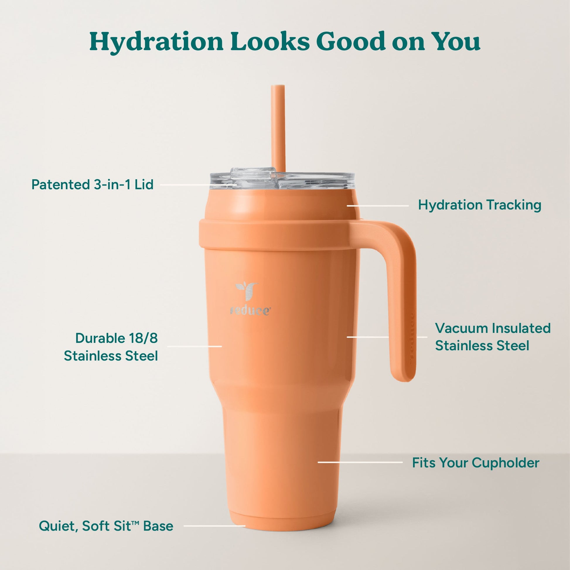cold1-40-oz-i8 Cold1_40oz_Papaya_Infographic_2.jpg